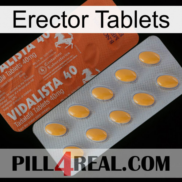 Erector Tablets 43.jpg